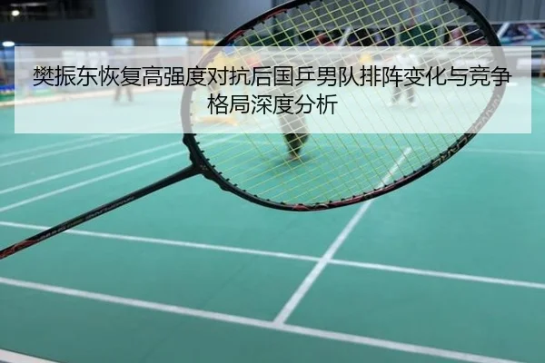 樊振东恢复高强度对抗后国乒男队排阵变化与竞争格局深度分析